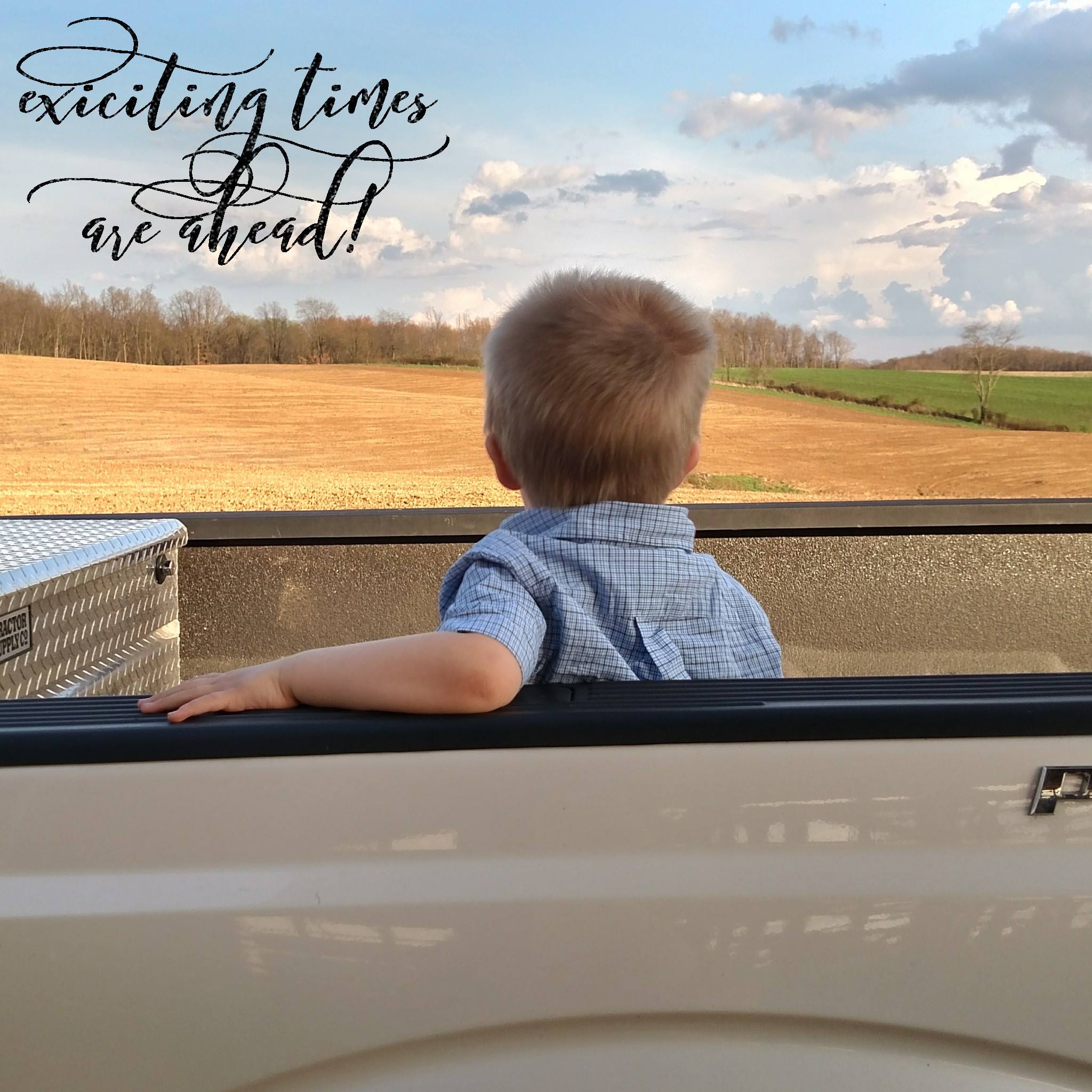 Locally Raised Beef, Pork & Chicken Louisville Ellington Farms Ohio