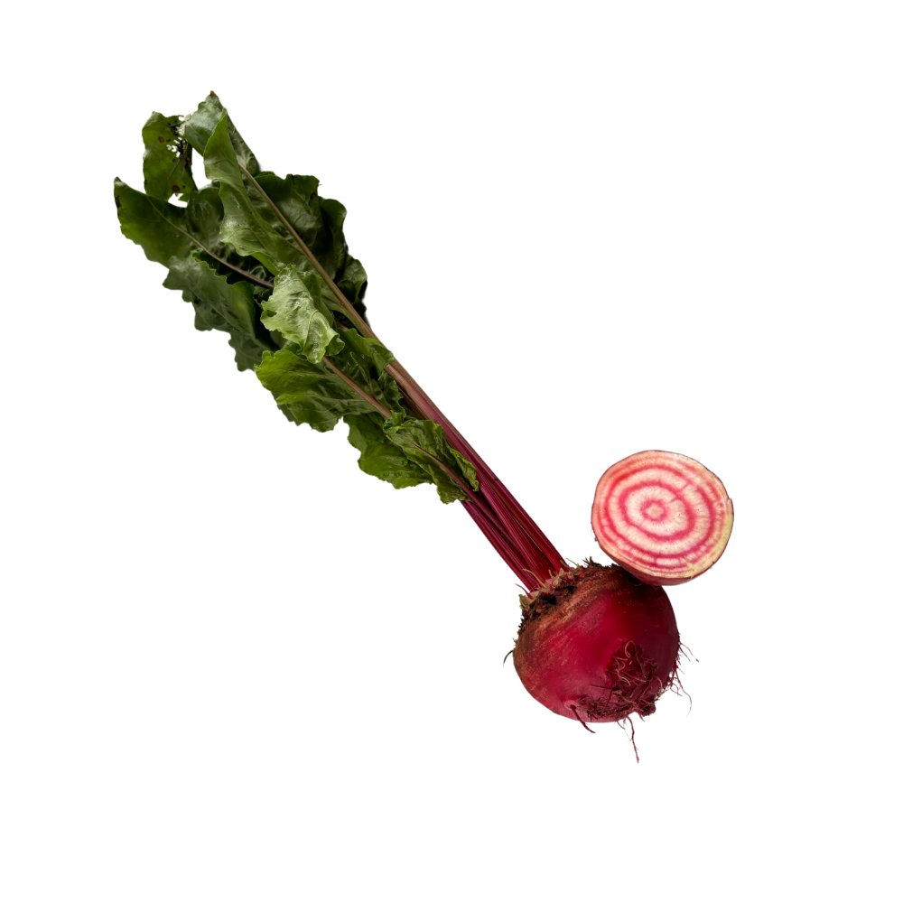 Remolacha rallada (unidad)