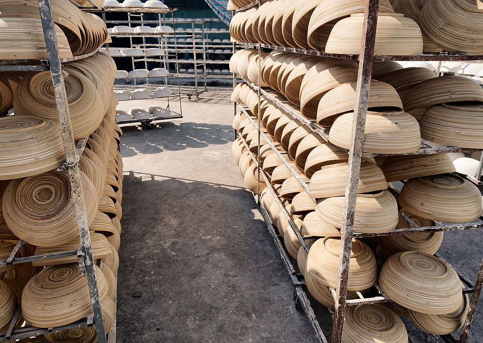 Bamboo village Ninh Binh (1)_edited.jpg