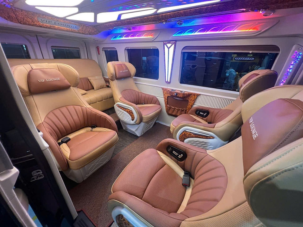 9-seat VIP Limousine (2).jpg