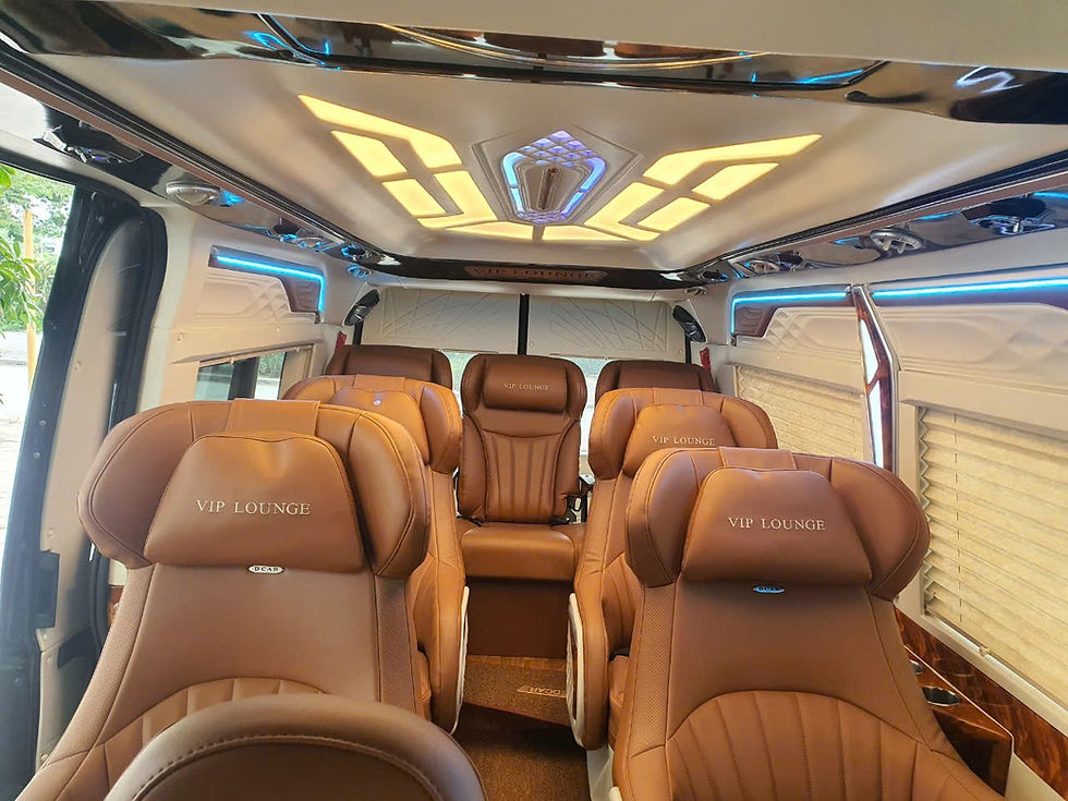9-seat Limousine 2(3).jpg