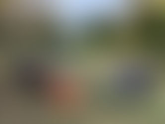 Worship in the Woods