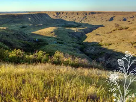 The Liberating Law of Love