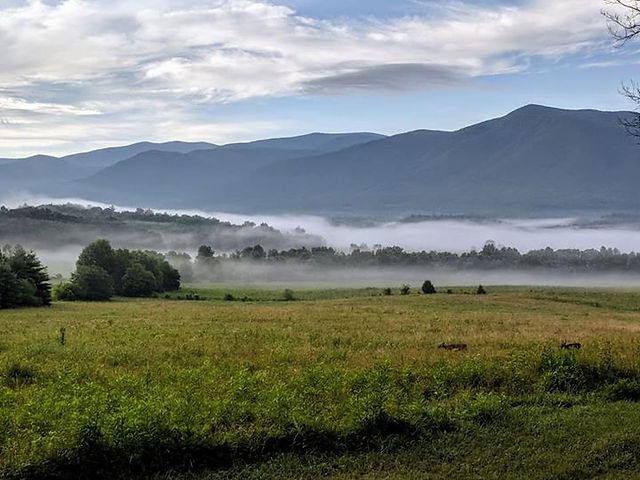 Smokies