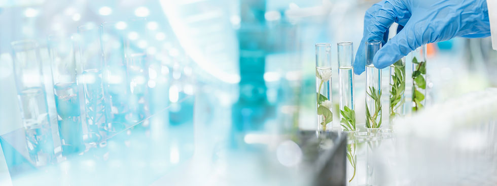 researcher-working-laboratory-medicals-science-research-using-scientific-equipment-technol