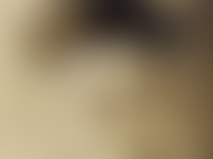 Monsignor Robert Michael Nolan (1874-1939)