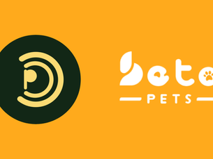 Beta Pet Mart SEM