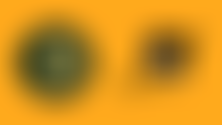 SEO Singapore: Thuraisingam Case Study