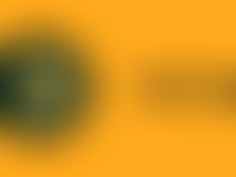 How SEO Helped Skinny Pizza Capture High-Intent Searches in Singapore