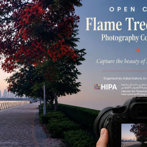 Open Call: Flame Tree Season Photography Competition – Capturing Dubai in Bloom