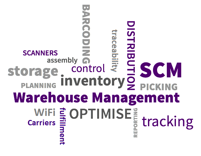 What to Look for WMS