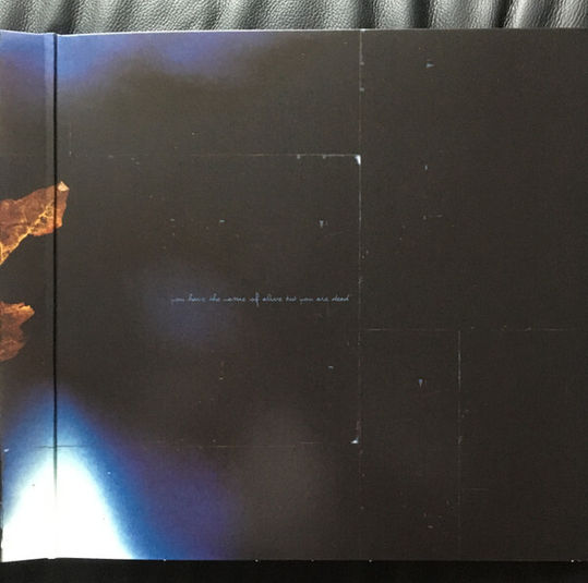 Thumbnail: DISCORDANCE AXIS - The Inalienable Dreamless LP