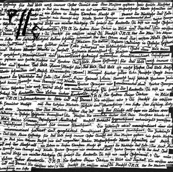 PIG//CONTROL - Vor Den Mauern (LP) Black Vinyl
