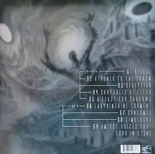 Thumbnail: OMINOUS RUIN - Amidst Voices That Echo In Stone (LP) Random Colored Vinyl