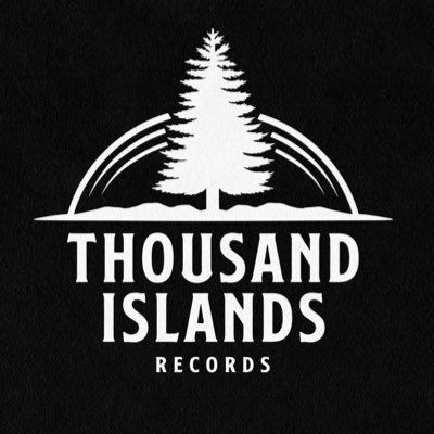 Thumbnail: THIS IS A STANDOFF - Be Disappointed (LP) Blue/White Color in Color Vinyl