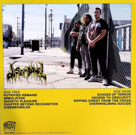Thumbnail: DISEMBOWEL – Echoes Of Terror (LP) Weed Green Inside Beer Coloured Vinyl