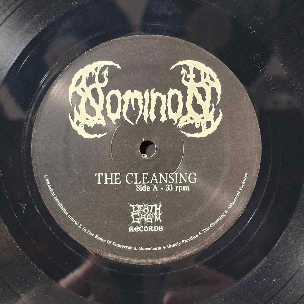 Thumbnail: NOMINON – The Cleansing (LP) Black Gatefold Vinyl