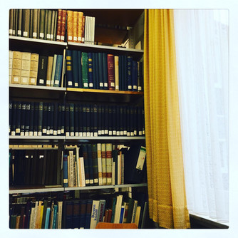 Sonntagskolumne: Kritik der Bildung