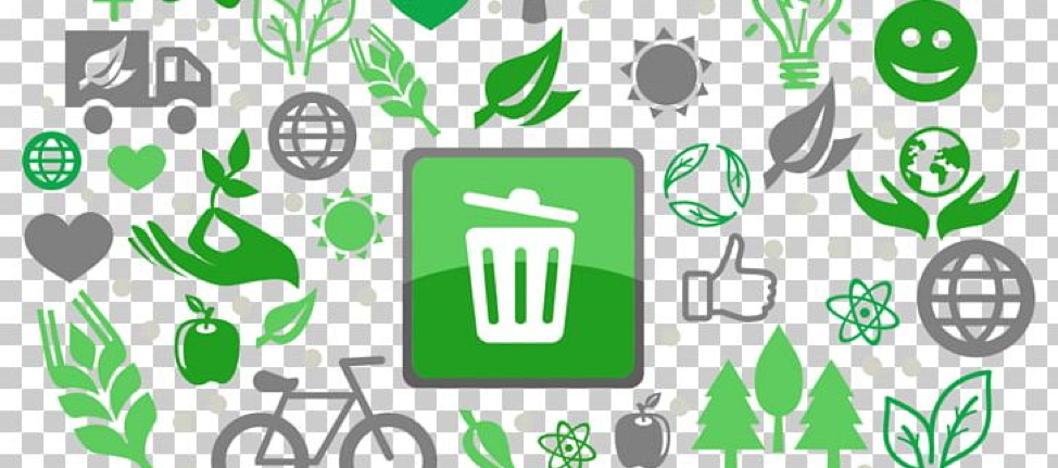 Setting up sustainable waste management is the least glamorous part of your strategy- but one of the most important.