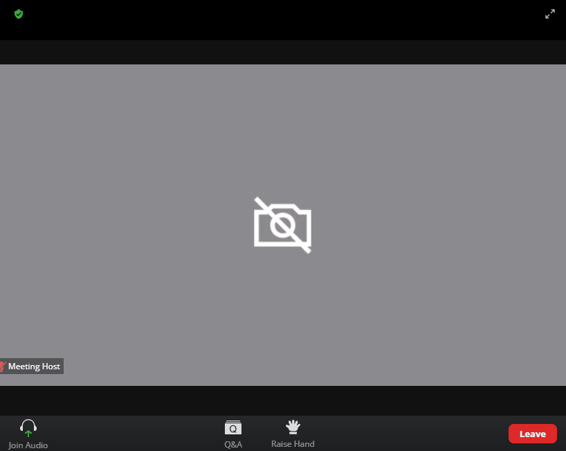 Audio Zoom.gif