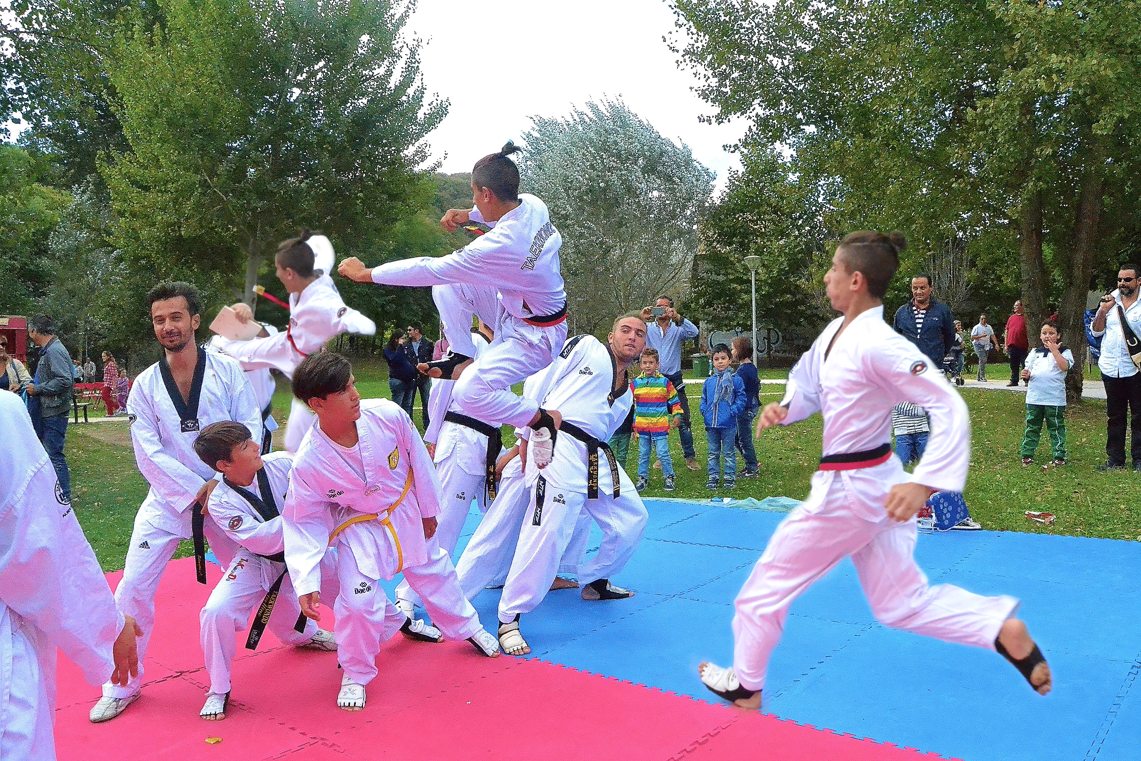 taekwondo avellino