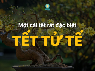 MỘT CÁI TẾT RẤT KHÁC - TẾT TỬ TẾ