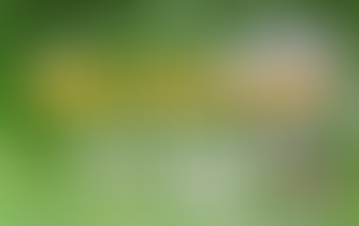 Hiểu bản ngã để không gục ngã