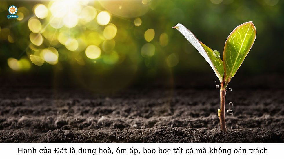 Khiêm hạ