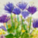 Thumbnail: Little Chives 1