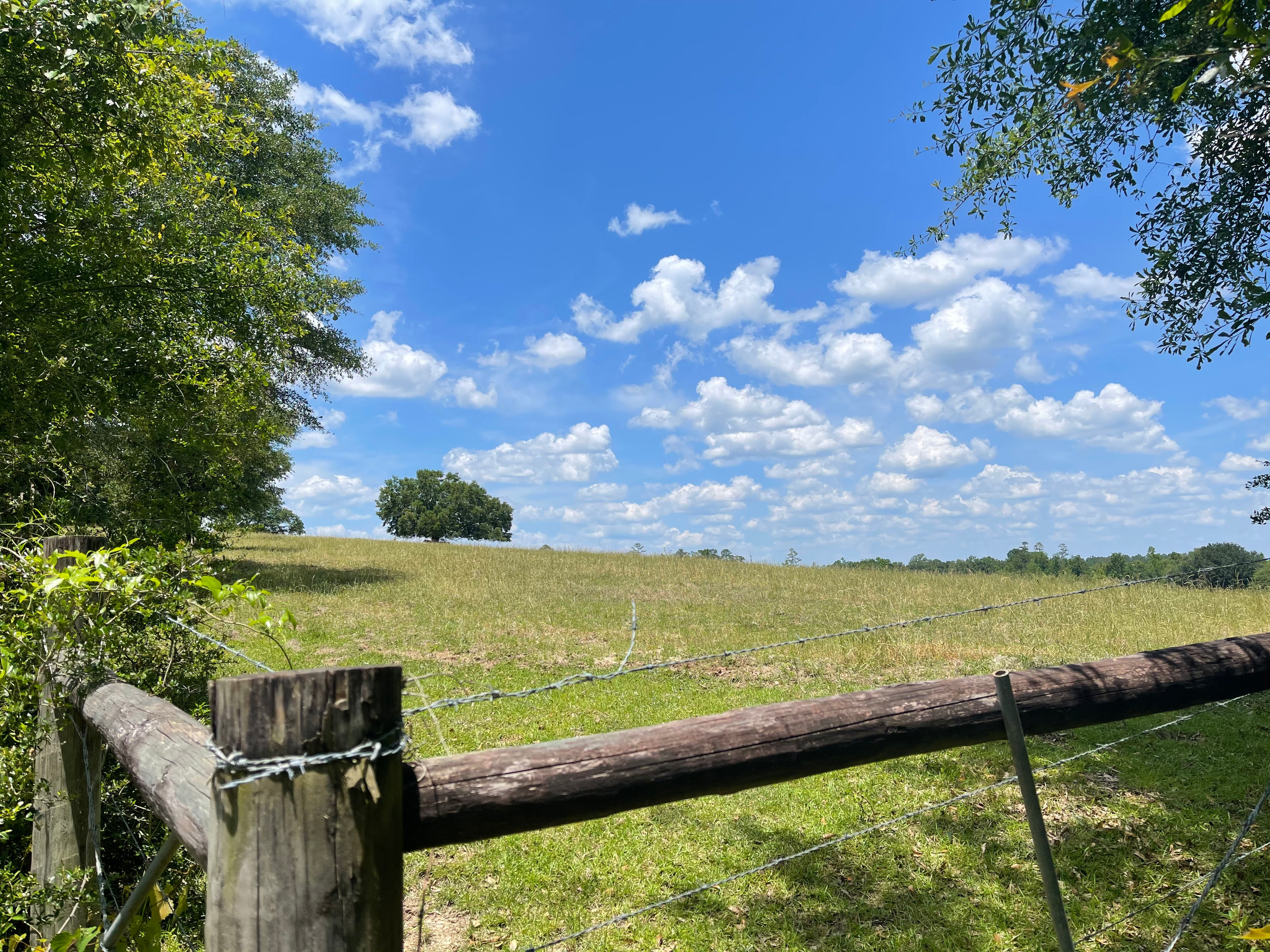 Real Estate Sell Buy Okaloosa Land Florida