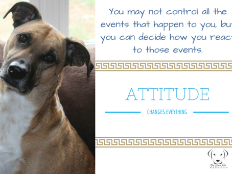 Attitude Changes Everything