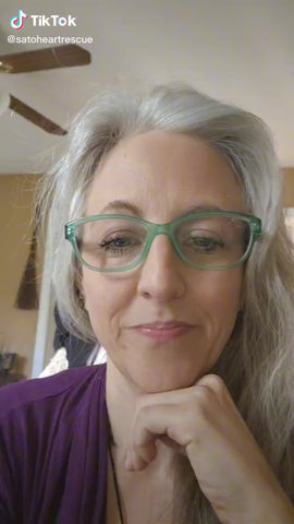 Little Lilo - Update