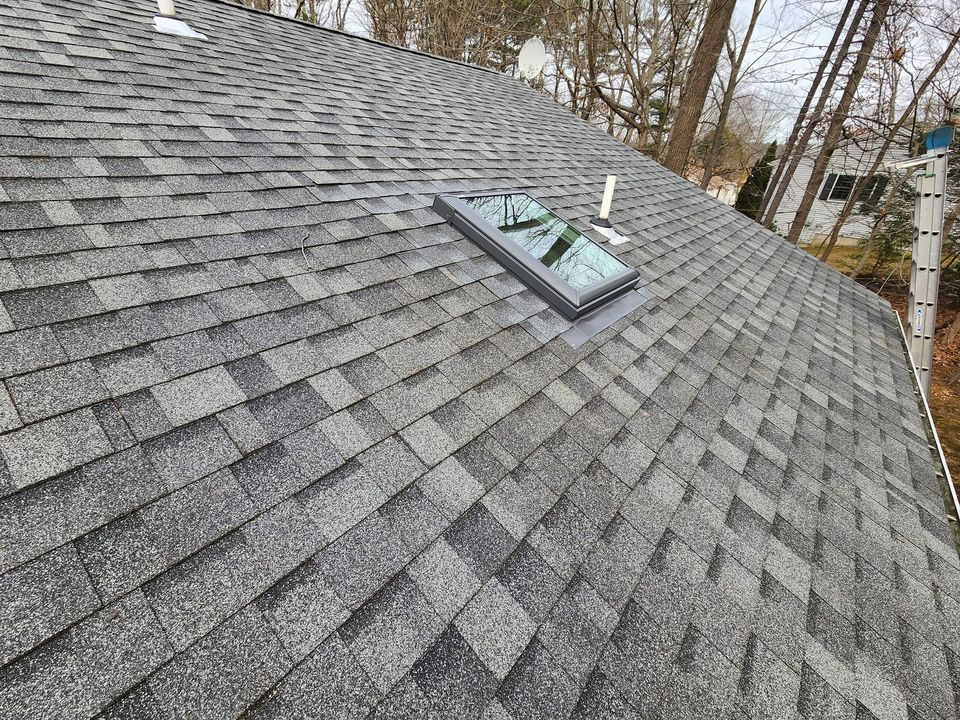 Gray shingled roof with a skylight, chimney pipes, and a ladder. Bare trees and suburban houses in the background on a cloudy day.