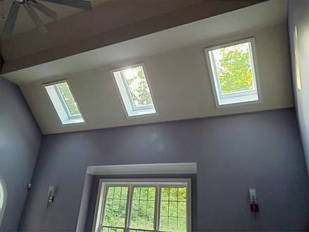 Velux Skylights