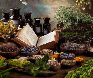 Witch Book and Herbs