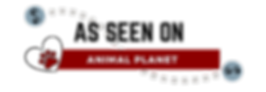 As seen on (1).png