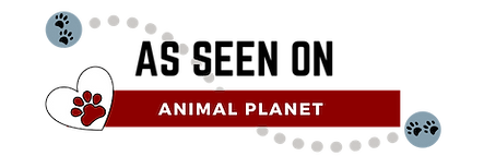 As seen on (1).png
