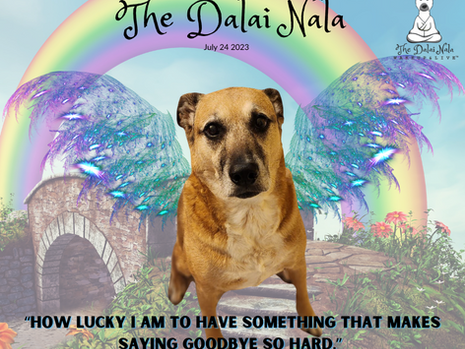 Yesterday I Lost My Best Friend