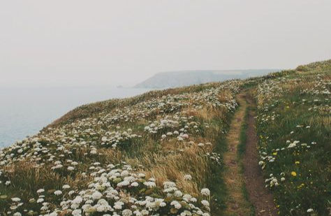 Informed and Empty: What Endless Content Is Doing to the Self