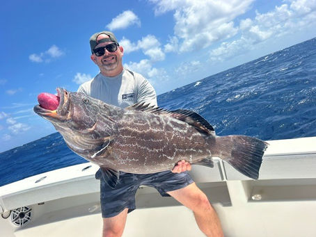 Best Time to Fish in Marathon, FL — A Local Captain's Guide