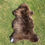 Miniatura: Peau de mouton brune