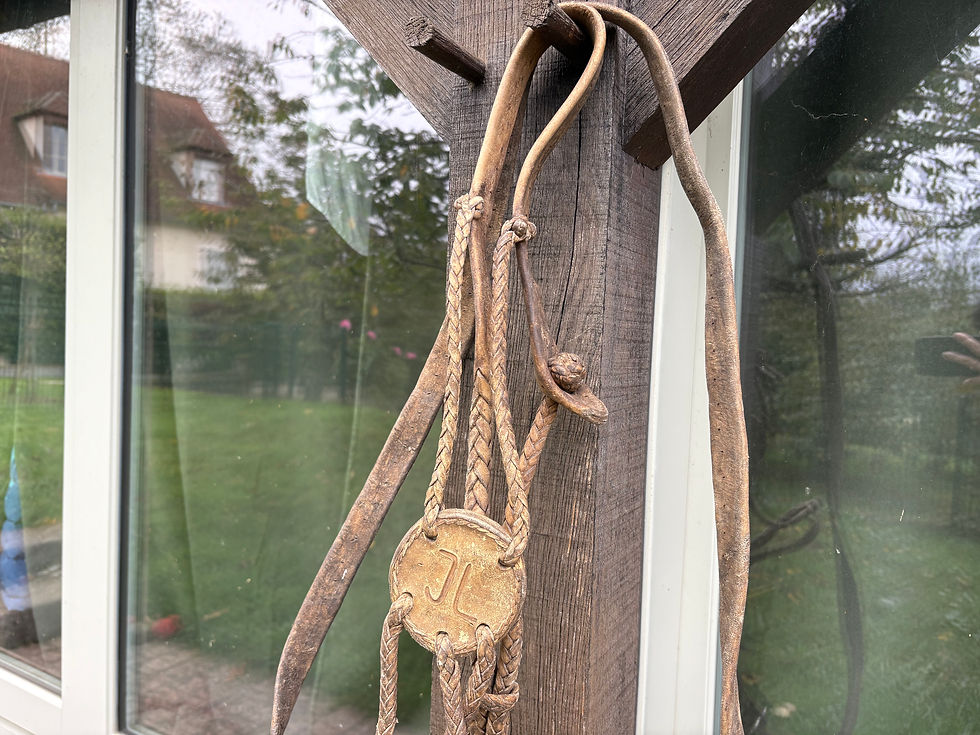 Miniature : Licol #JL-04