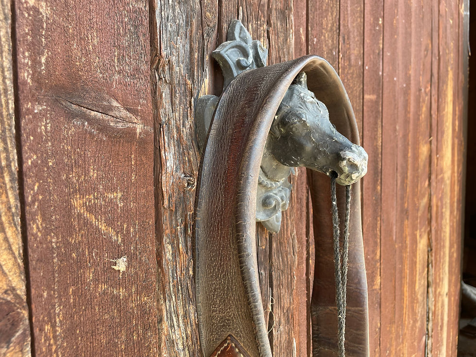 Miniature : Sangle en cuir #EPE-SANGLE02