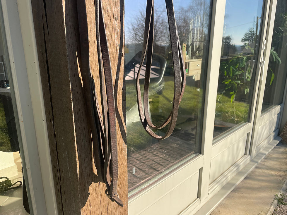 Miniatura: Rênes allemandes cuir marron