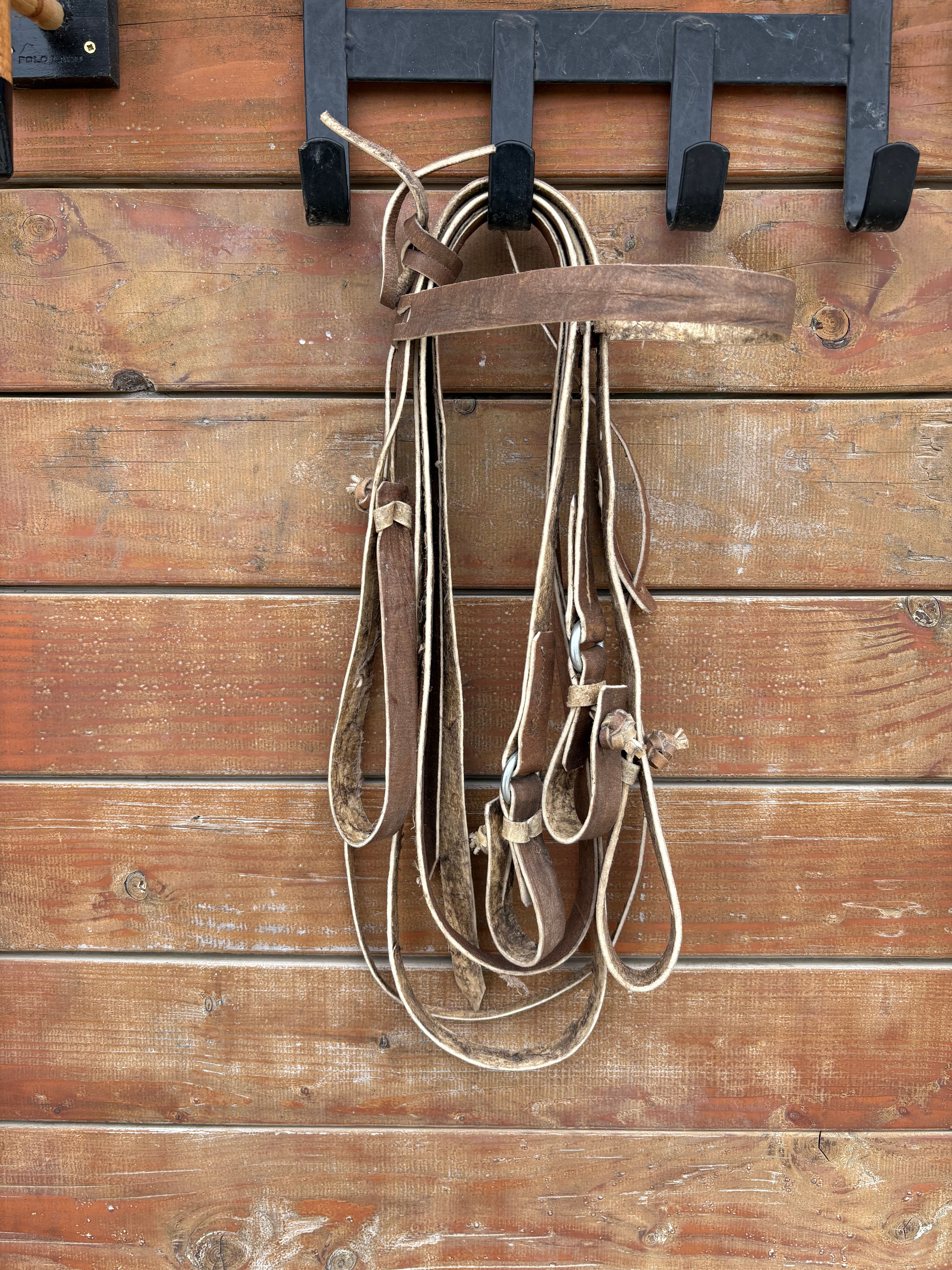 Bride de piste #PM-VAREO