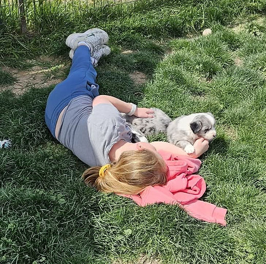 theresa pups w grandkids.jpg