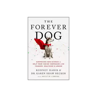 forever dog.webp