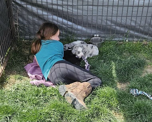 theresa pups with grandkids.jpg