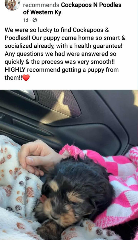 593ed4cb-1d10-4e8c-8d39-f0d5f63d7605_edi