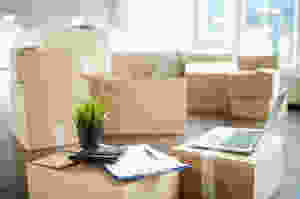 Boxes in New Office